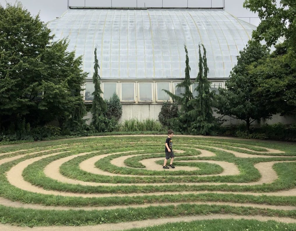 School age boy child walking grass maze labryinth greenhouse
