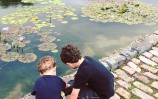 Fun Family Field Trip: Garfield Park Conservatory, Chicago, IL | Explore local family activities