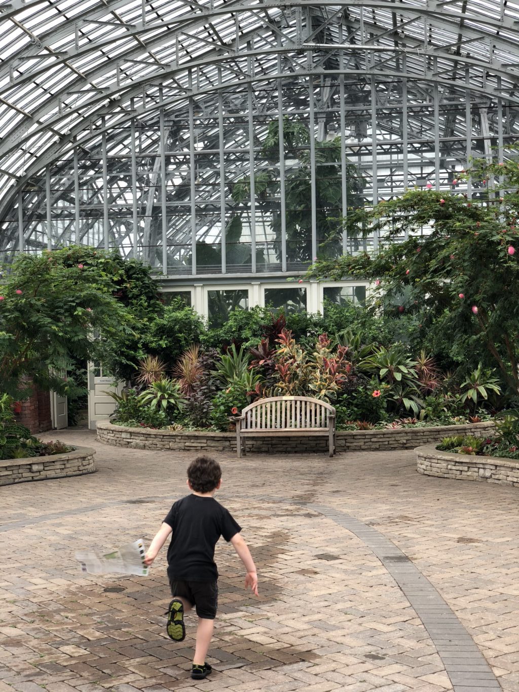 Fun Family Field Trip: Garfield Park Conservatory, Chicago, IL | Explore local family activities