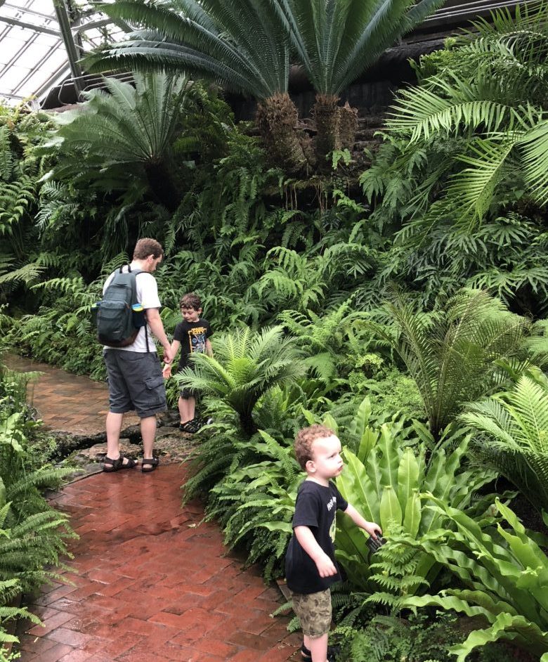 Fun Family Field Trip: Garfield Park Conservatory, Chicago, IL | Explore local family activities