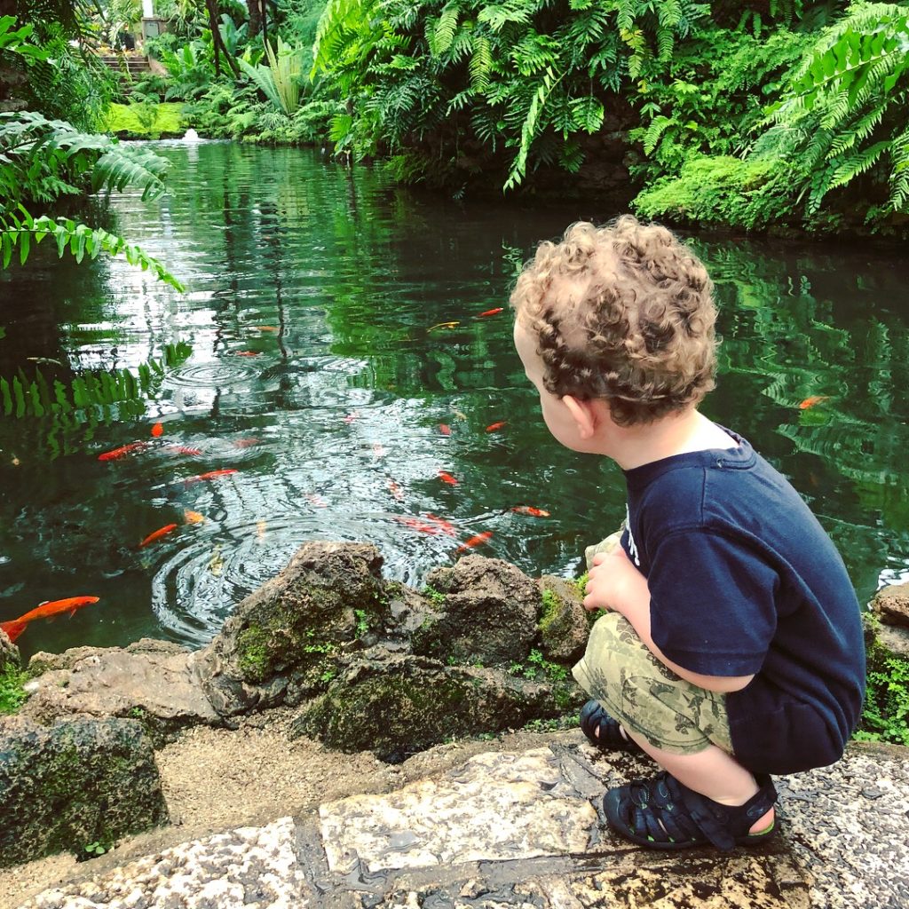 Fun Family Field Trip: Garfield Park Conservatory, Chicago, IL | Explore local family activities