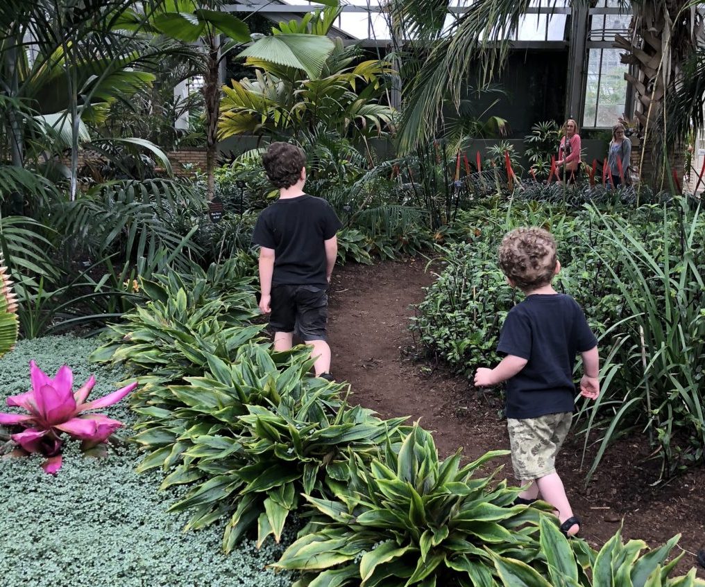 Fun Family Field Trip: Garfield Park Conservatory, Chicago, IL | Explore local family activities