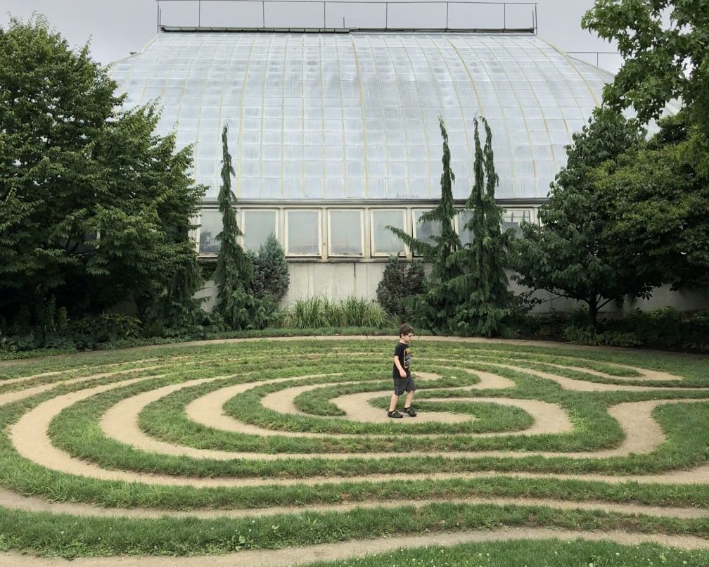 Fun Family Field Trip: Garfield Park Conservatory, Chicago, IL | Explore local family activities