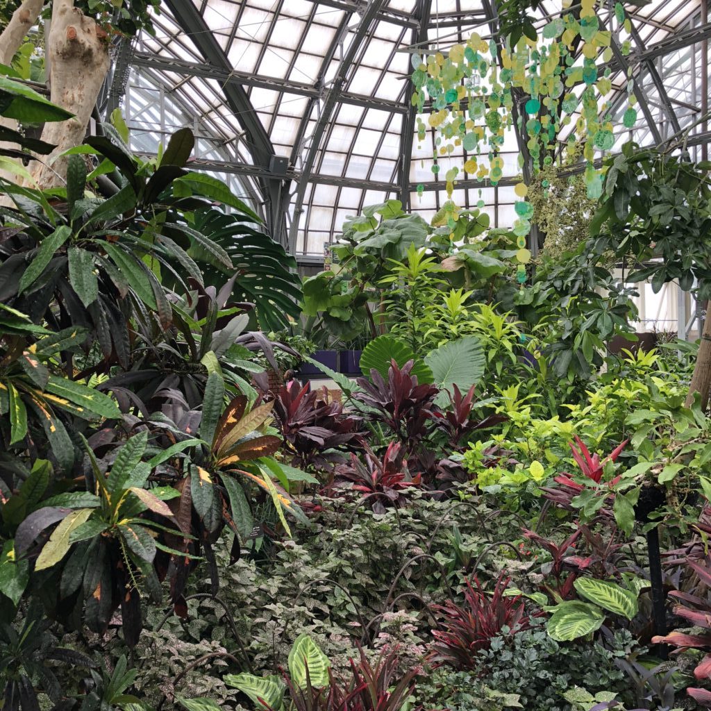 Fun Family Field Trip: Garfield Park Conservatory, Chicago, IL | Explore local family activities