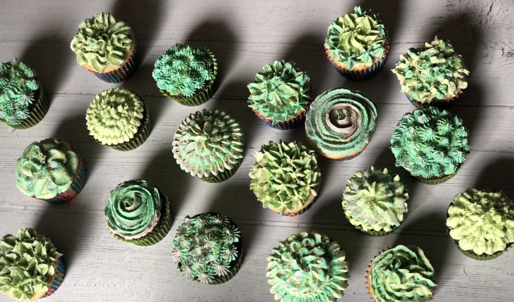 White Chocolate Buttercream Succulent Cupcakes with only 4 basic cake decorator tips