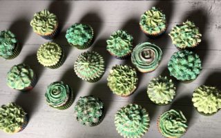 White Chocolate Buttercream Succulent Cupcakes with only 4 basic cake decorator tips