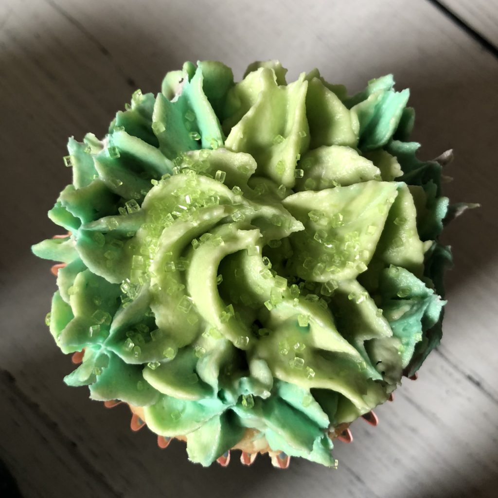 White Chocolate Buttercream Succulent Cupcakes