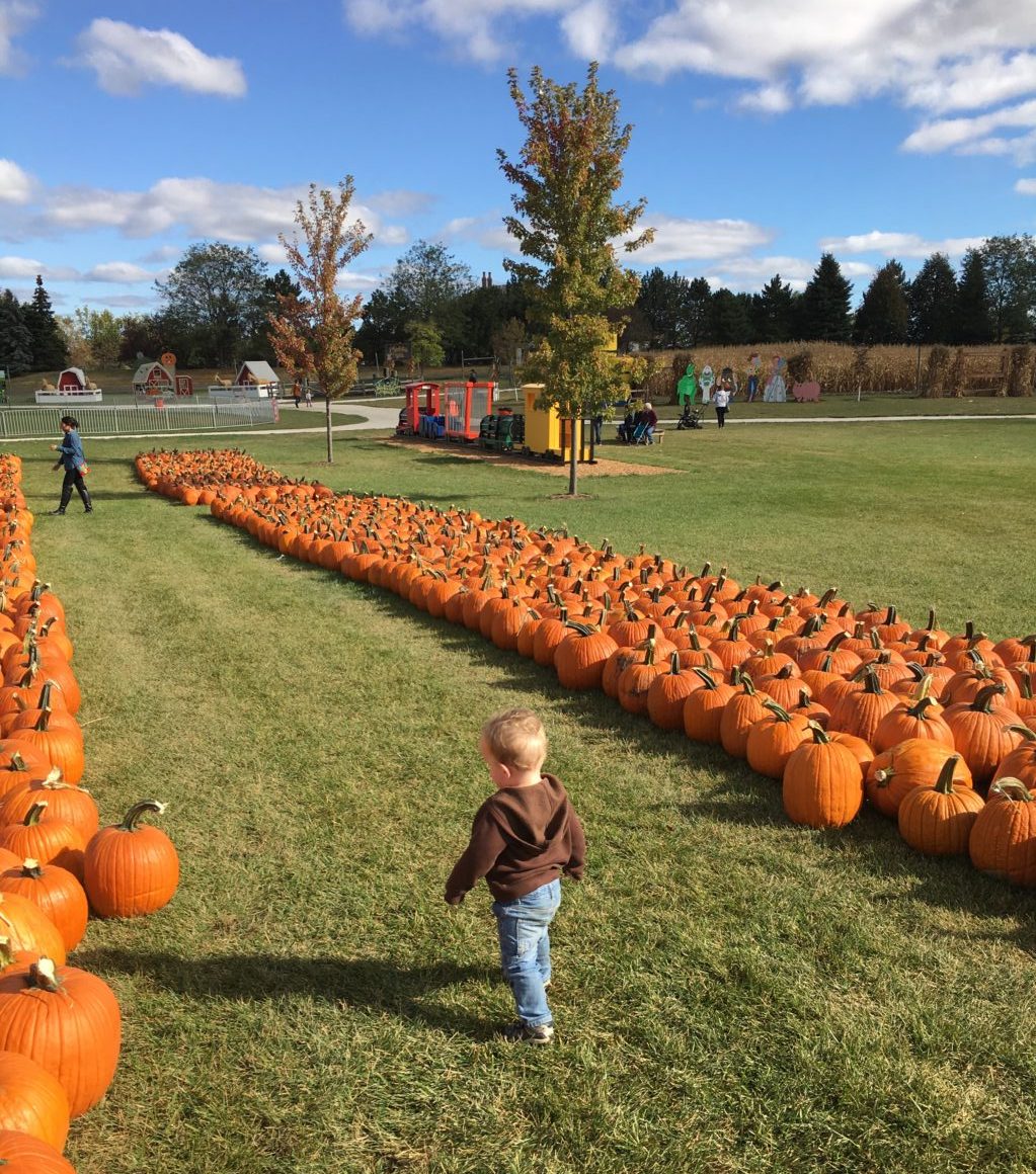 Fall Family Bucket List: Kid and Family Activities to Celebrate the Autumn Season