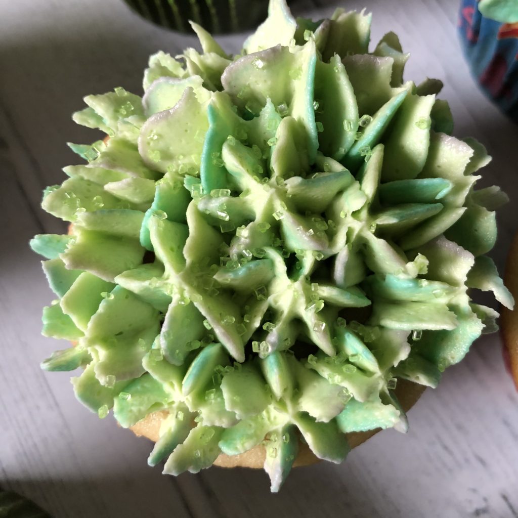 White Chocolate Buttercream Succulent Cupcakes