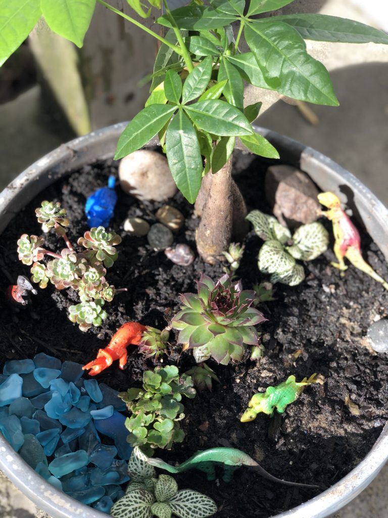 Prehistoric Dinosaur Mini Garden Tutorial | Fairy gardening container gardening gardening with kids DIY project #gardening #fairygarden #boymom