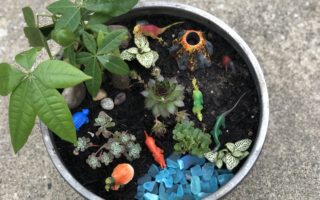 Prehistoric Dinosaur Mini Garden Tutorial | Fairy gardening container gardening gardening with kids DIY project #gardening #fairygarden #boymom