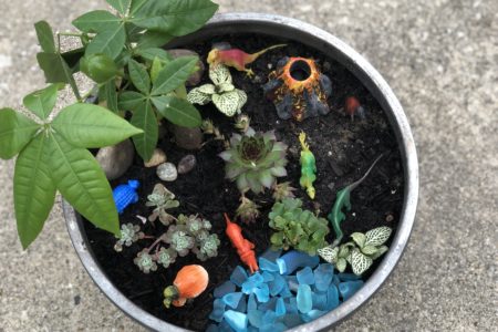 Prehistoric Dinosaur Mini Garden Tutorial | Fairy gardening container gardening gardening with kids DIY project #gardening #fairygarden #boymom