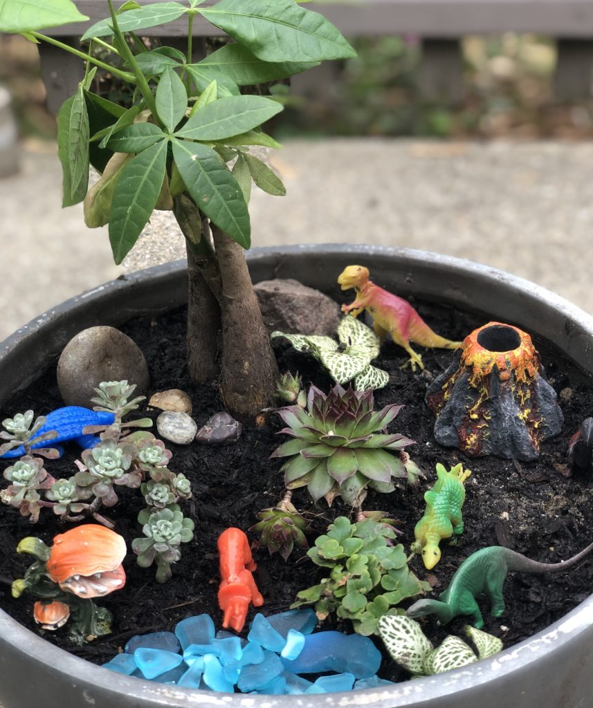 Prehistoric Dinosaur Mini Garden Tutorial | Fairy gardening container gardening gardening with kids DIY project #gardening #fairygarden #boymom