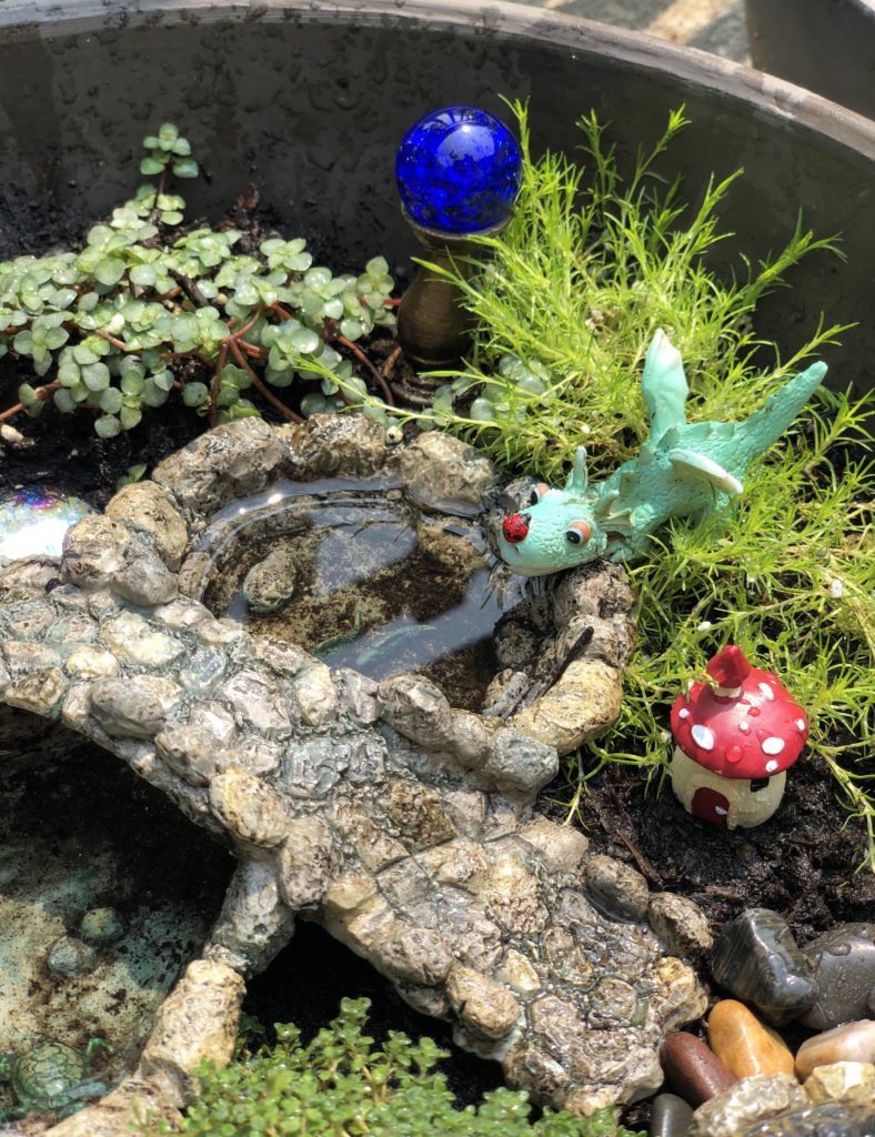 How to create a magical fairy garden bowl | Miniature gardening accessories, container gardening tips, whimsical fairy garden accessories to plant with your kids #gardening #containergardening #fairygarden