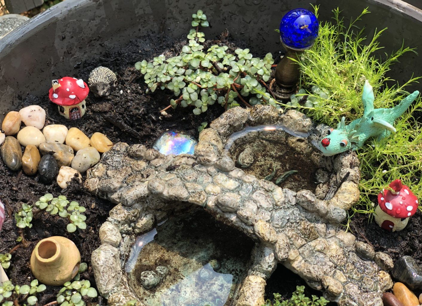 How to create a magical fairy garden bowl | Miniature gardening accessories, container gardening tips, whimsical fairy garden accessories to plant with your kids #gardening #containergardening #fairygarden