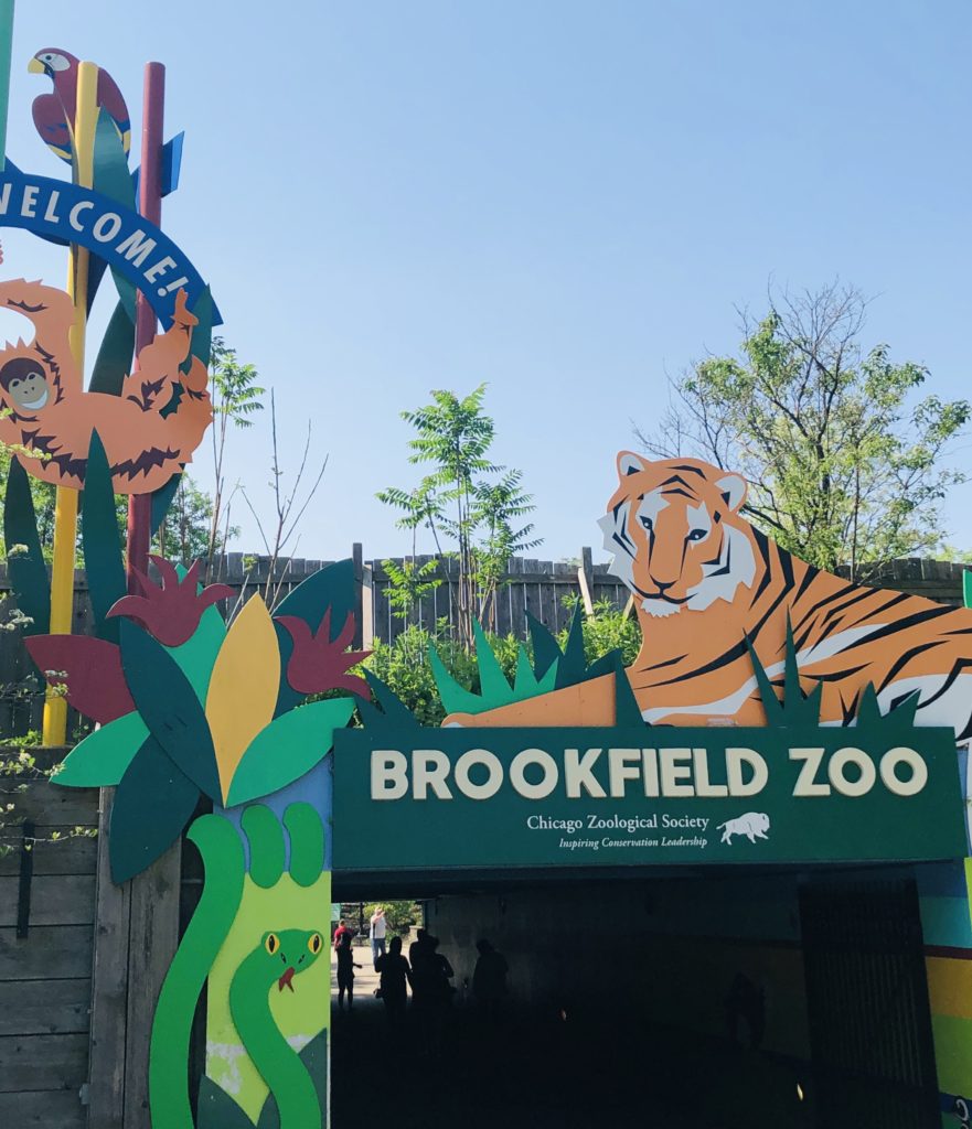 Welcome to Brookfield Zoo tunnel sign tiger entrance Family Field Trip Brookfield Zoo