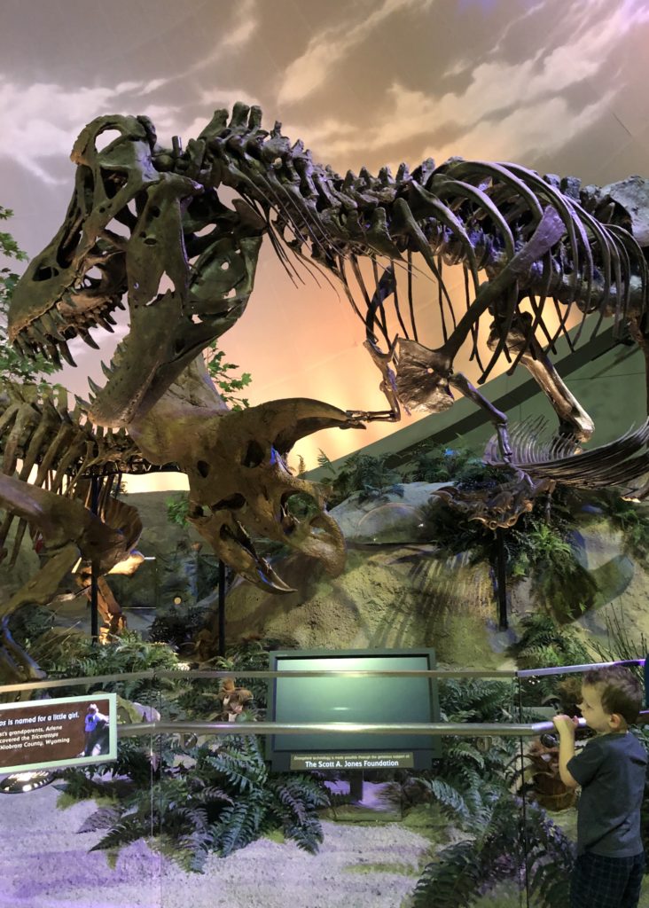 Family Field Trip: Children's Museum of Indianapolis | 5 don't-miss exhibits to explore with your kids #roadtrip #familyactivities #midwest #indianapolis #travelwithkids