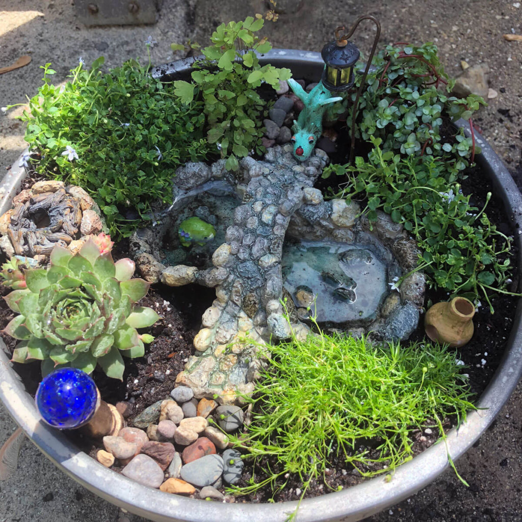 New Ideas for Your Magical Fairy Garden Bowl - #NeverDoneWithFun