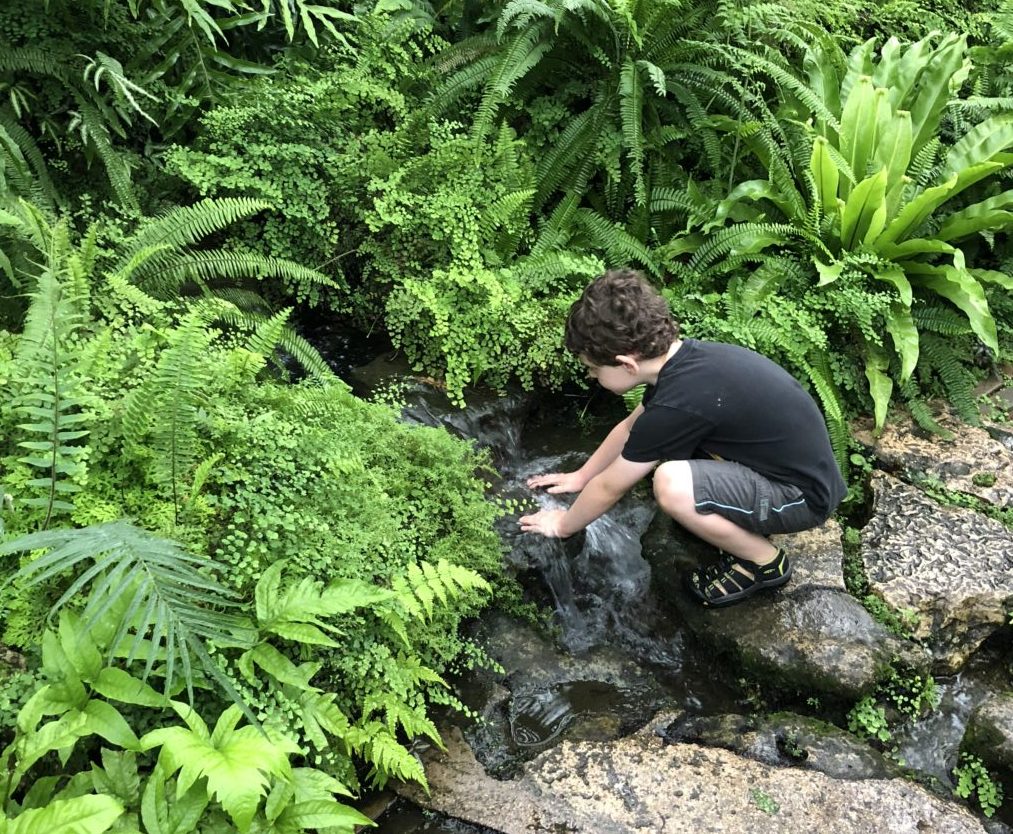 Fun Family Field Trip: Garfield Park Conservatory, Chicago, IL | Explore local family activities