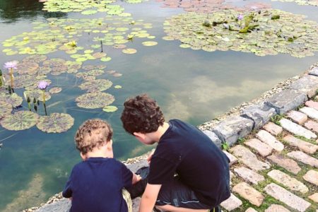 Fun Family Field Trip: Garfield Park Conservatory, Chicago, IL | Explore local family activities