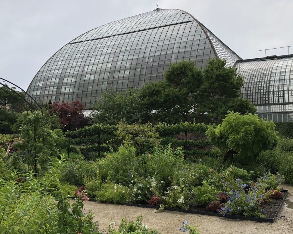 Fun Family Field Trip: Garfield Park Conservatory, Chicago, IL | Explore local family activities