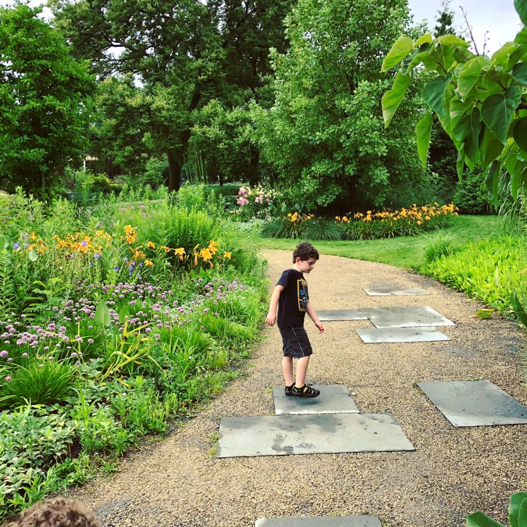 Fun Family Field Trip: Garfield Park Conservatory, Chicago, IL | Explore local family activities