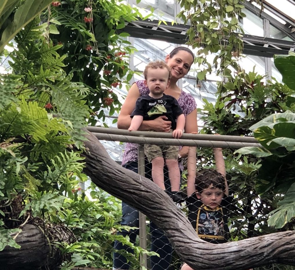 Fun Family Field Trip: Garfield Park Conservatory, Chicago, IL | Explore local family activities