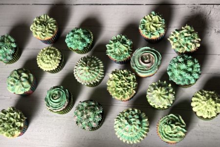 White Chocolate Buttercream Succulent Cupcakes with only 4 basic cake decorator tips