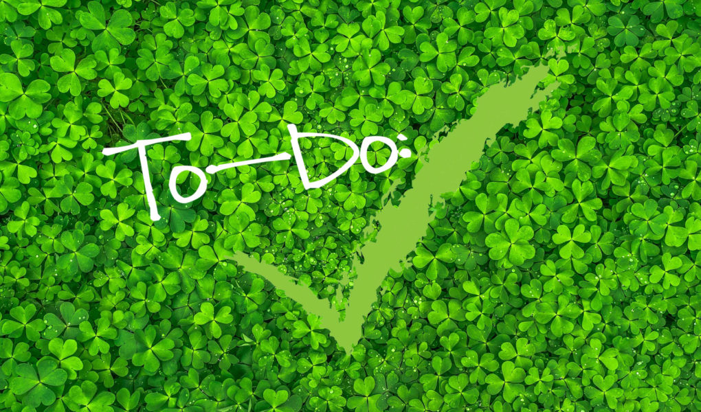 #NeverDoneWithFun St. Patrick's Day To-Do List: 17 Ways to Celebrate the Irish Holiday With Your Family #stpatricksday #irish #shamrock