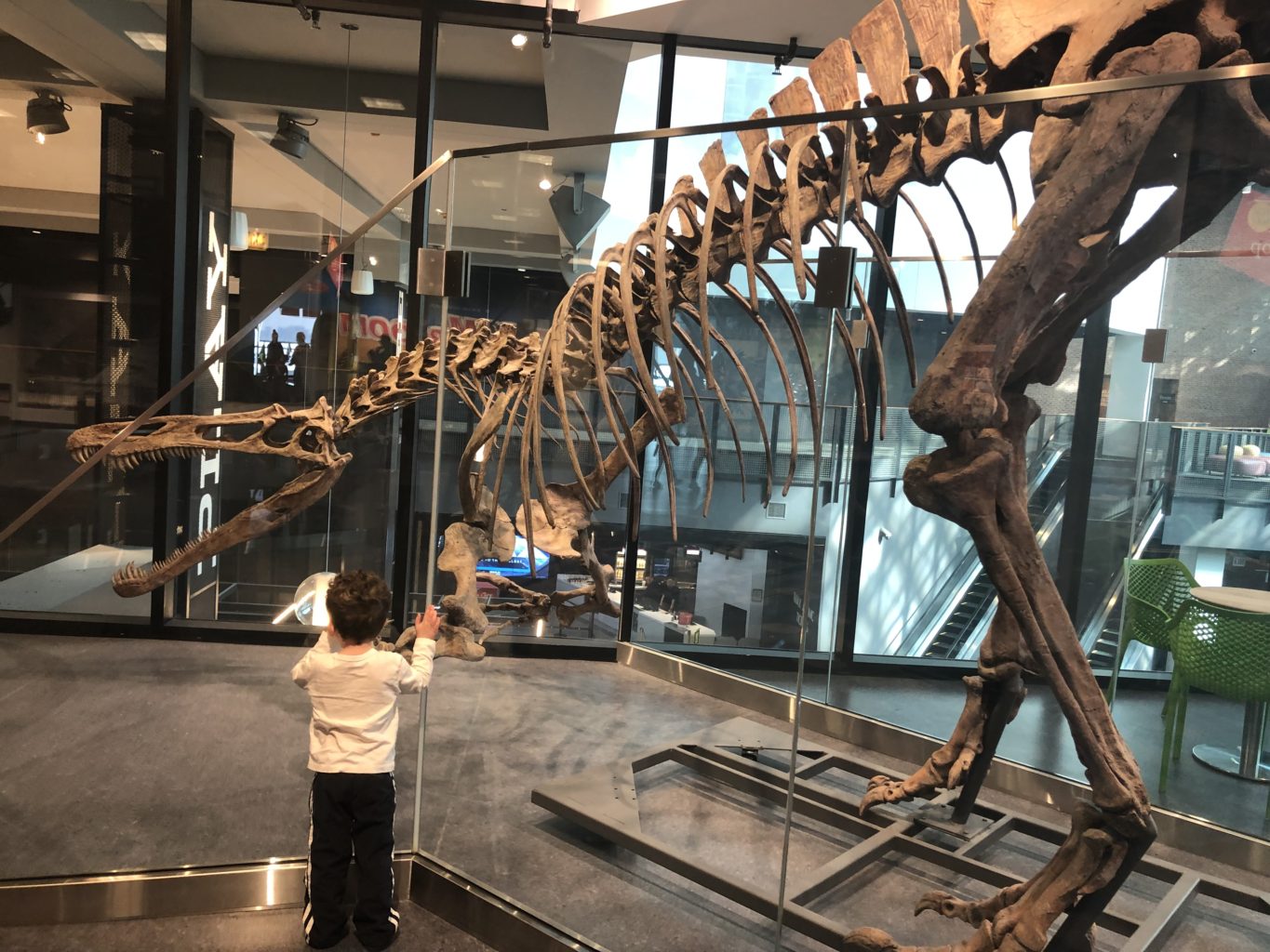 Family Field Trip: Chicago Children's Museum at Navy Pier | A parent's guide to exploring Chicago's highlights | Tips for making the most of your visit #chicago #navypier #travelwithkids #kidactivities