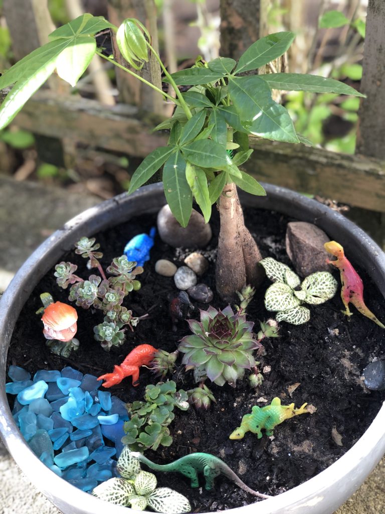 Prehistoric Dinosaur Mini Garden Tutorial | Fairy gardening container gardening gardening with kids DIY project #gardening #fairygarden #boymom