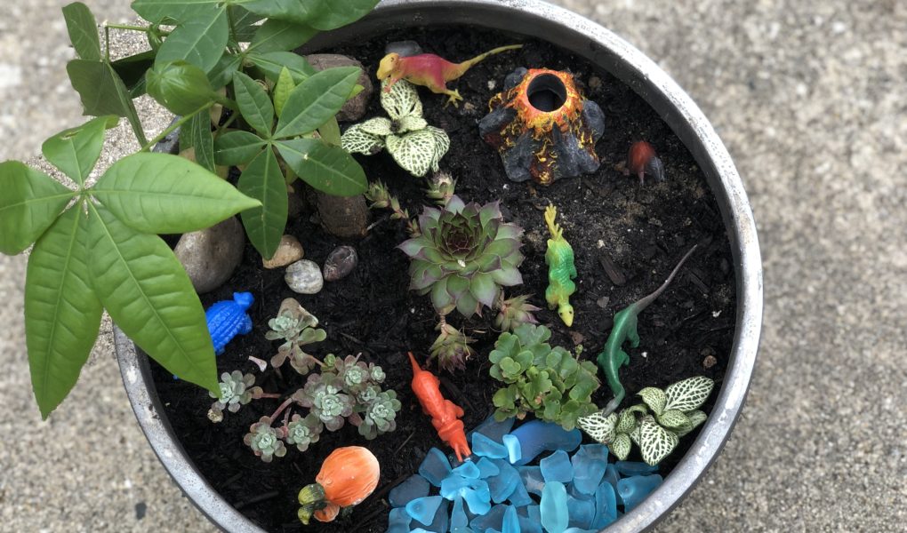Prehistoric Dinosaur Mini Garden Tutorial | Fairy gardening container gardening gardening with kids DIY project #gardening #fairygarden #boymom