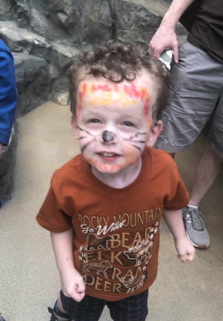 Toddler face paint lion tiger whiskers cat nose Hamill Family Play Zoo Brookfield Zoo Family Field Trip